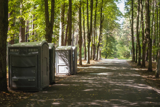 Best Porta potty for special events  in Fulton, IL